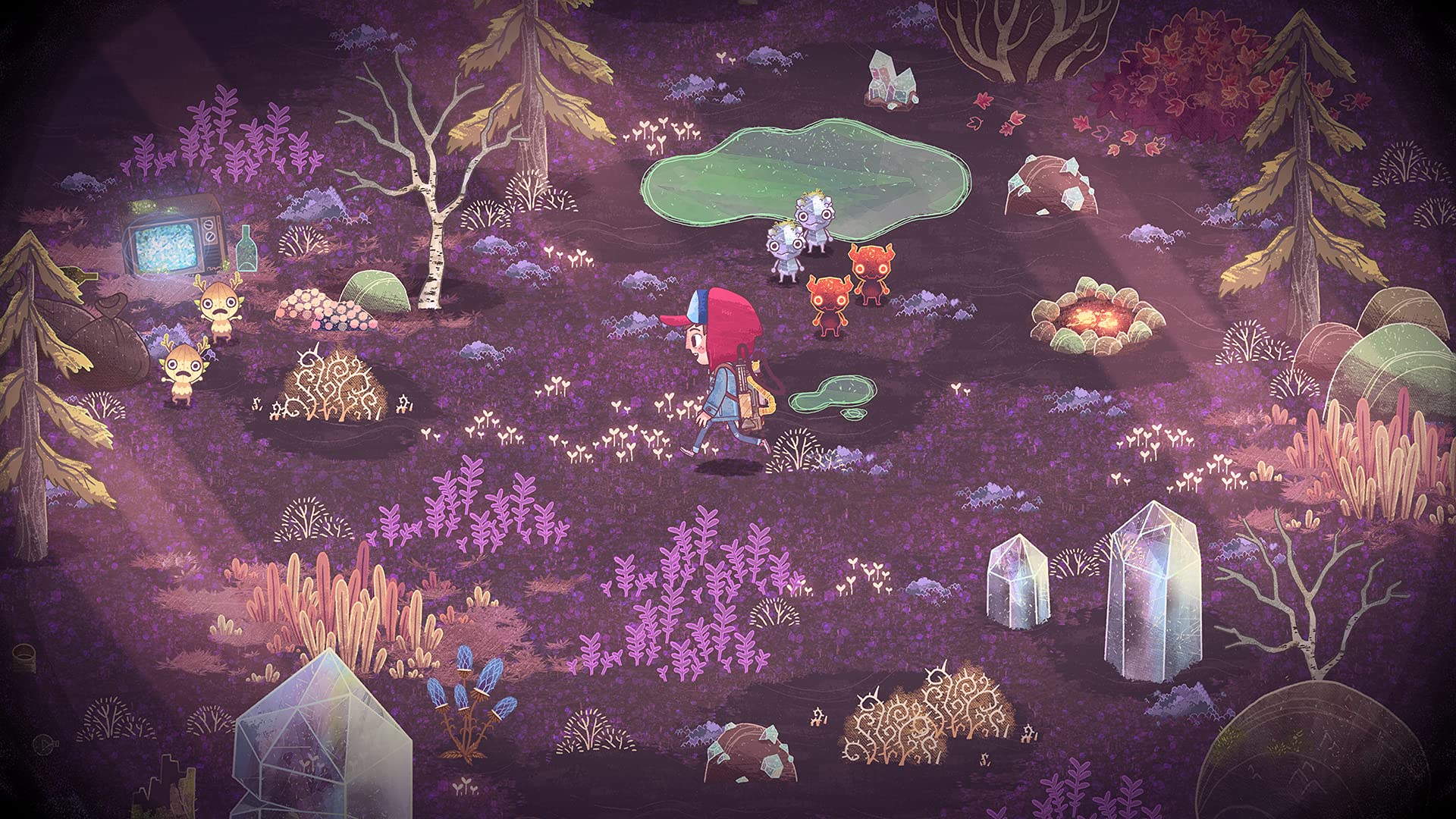 The Wild at Heart - Nintendo Switch Game | Adventure & Puzzle Solving for Kids & Adults | Perfect for Family Game Nights & Solo Play