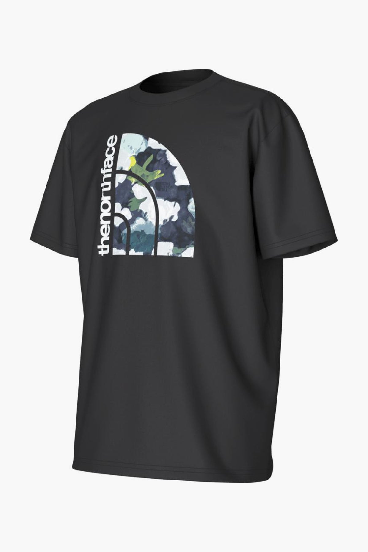 The North Face Boys' Graphic Logo T-Shirt - Comfortable & Stylish Kids' Tee for Outdoor Adventures & Casual Wear