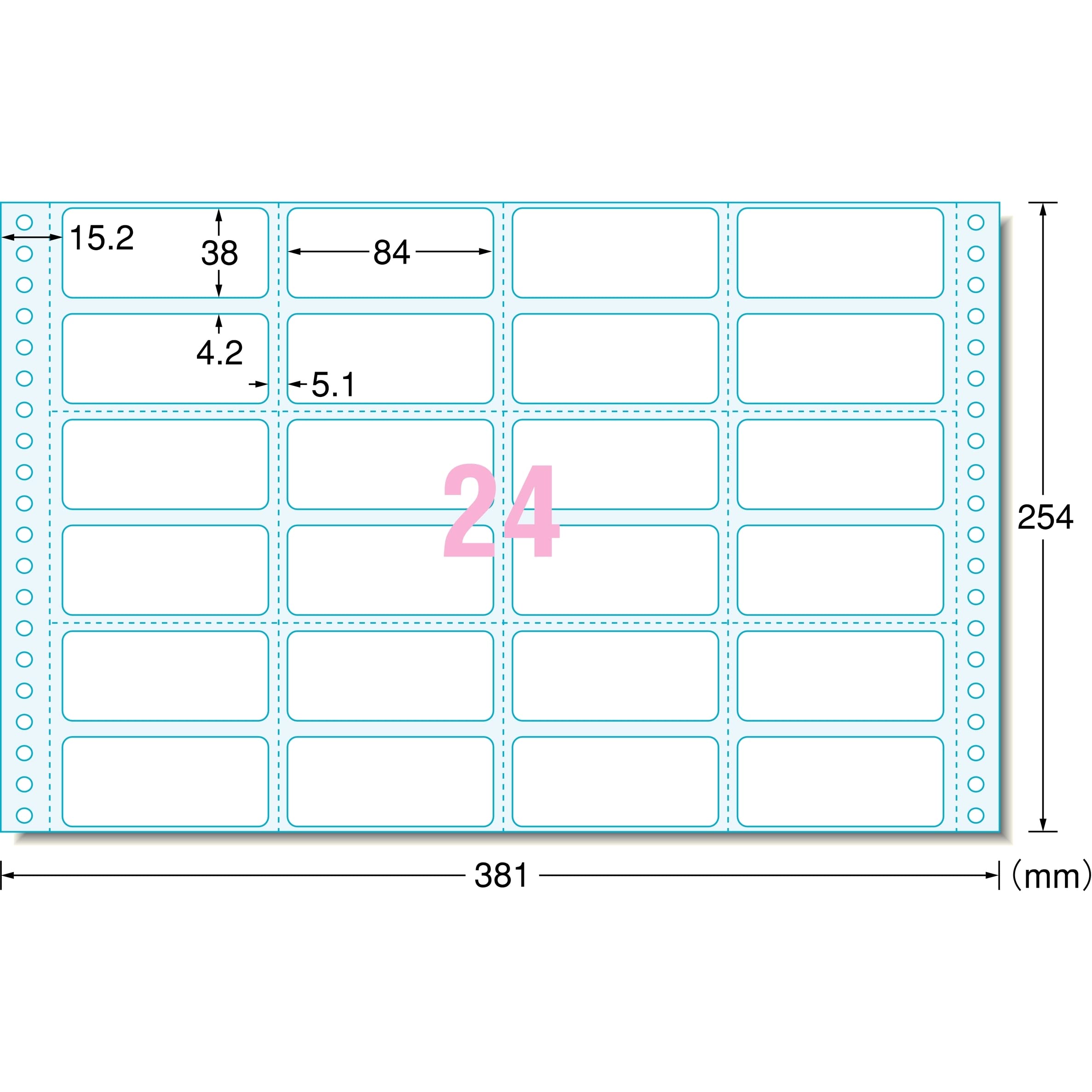 A-One 28011 Computer Foam Labels - 24 Sides, 500 Sheets - Self-Adhesive, Durable, for File Folders, Shipping Boxes & Office Organization