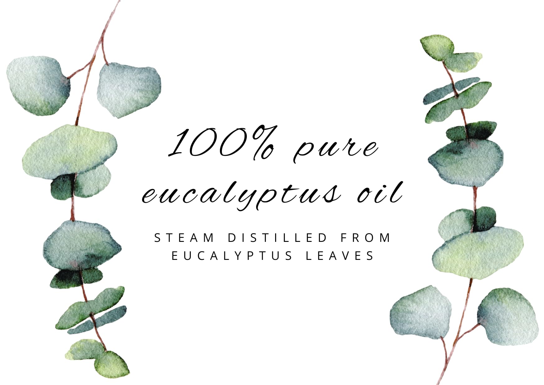 1 Gallon 100% Pure Eucalyptus Essential Oil - Undiluted, Therapeutic Grade for Aromatherapy, Massage & Home Cleaning - GreenHealth Brand