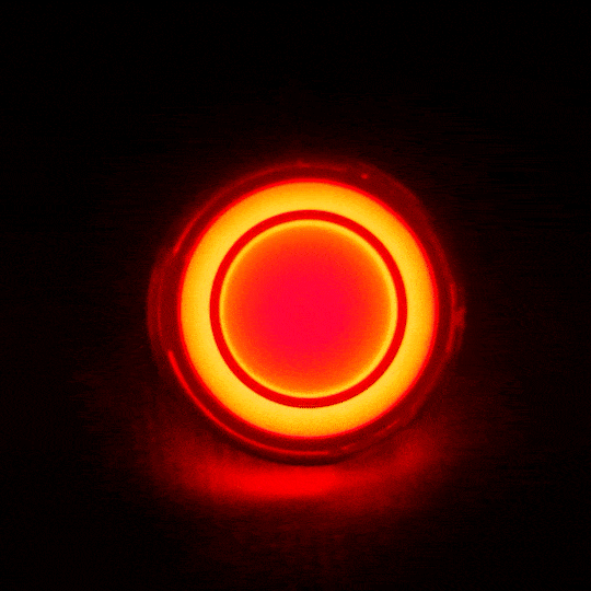 Eagle Lights HALOS 2 Rear LED Turn Signals for Harley Davidson Motorcycles - 1157 Base - High Visibility Brake Lights for Night Riding & Safety