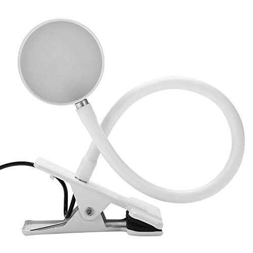 A K Homes - 5W 2-Color Portable LED Beauty Lamp for Permanent Makeup, Eyebrow Tattooing, Manicure, Reading & Working | USB Powered Energy Saving Desk Light (#1-Silver) | Perfect for Tattoo Artists, Salon Professionals & Home Office Use
