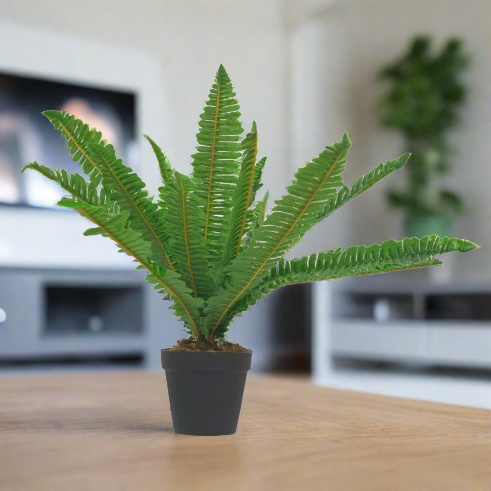 50cm Artificial Green Leaf Fern Plant by Criterion - Realistic Fake Plant for Home Decor, Office, Living Room, Bedroom & Indoor Spaces