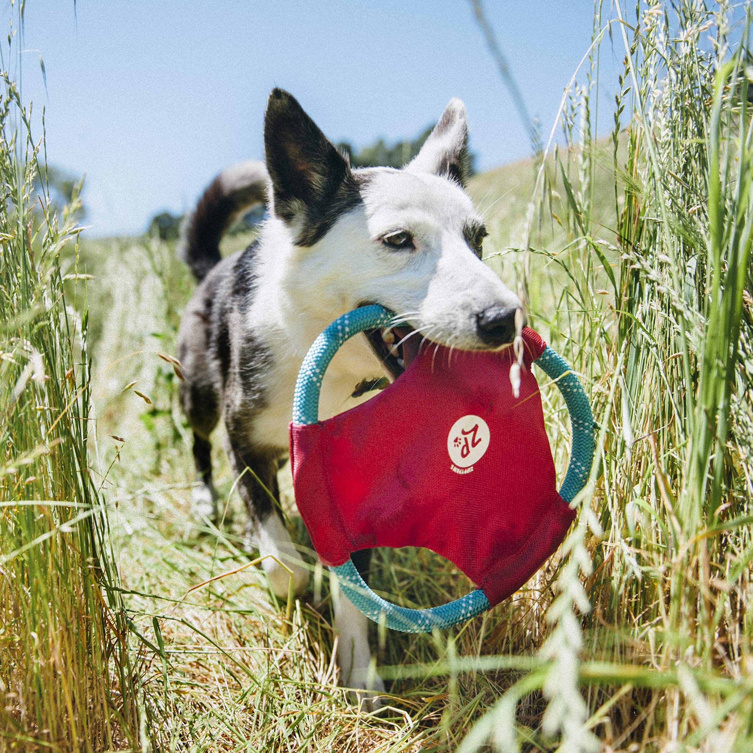 ZippyPaws Rope Gliderz Dog Toy - Soft Flying Disc with Durable Rope for Tug of War, Chewing & Fetch Play | Interactive Pet Toy for Outdoor & Indoor Playtime (Magenta)