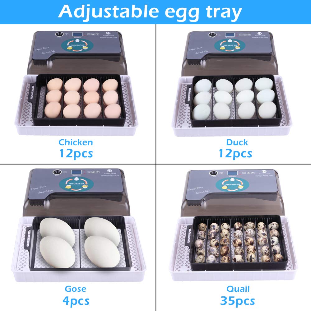 12-Egg Adjustable Egg Tray - Fully Automatic Poultry Incubator Set, Durable & Safe for Chicken, Duck, Quail Eggs - Perfect for Home Farming, Hatching Projects & Backyard Poultry Raising