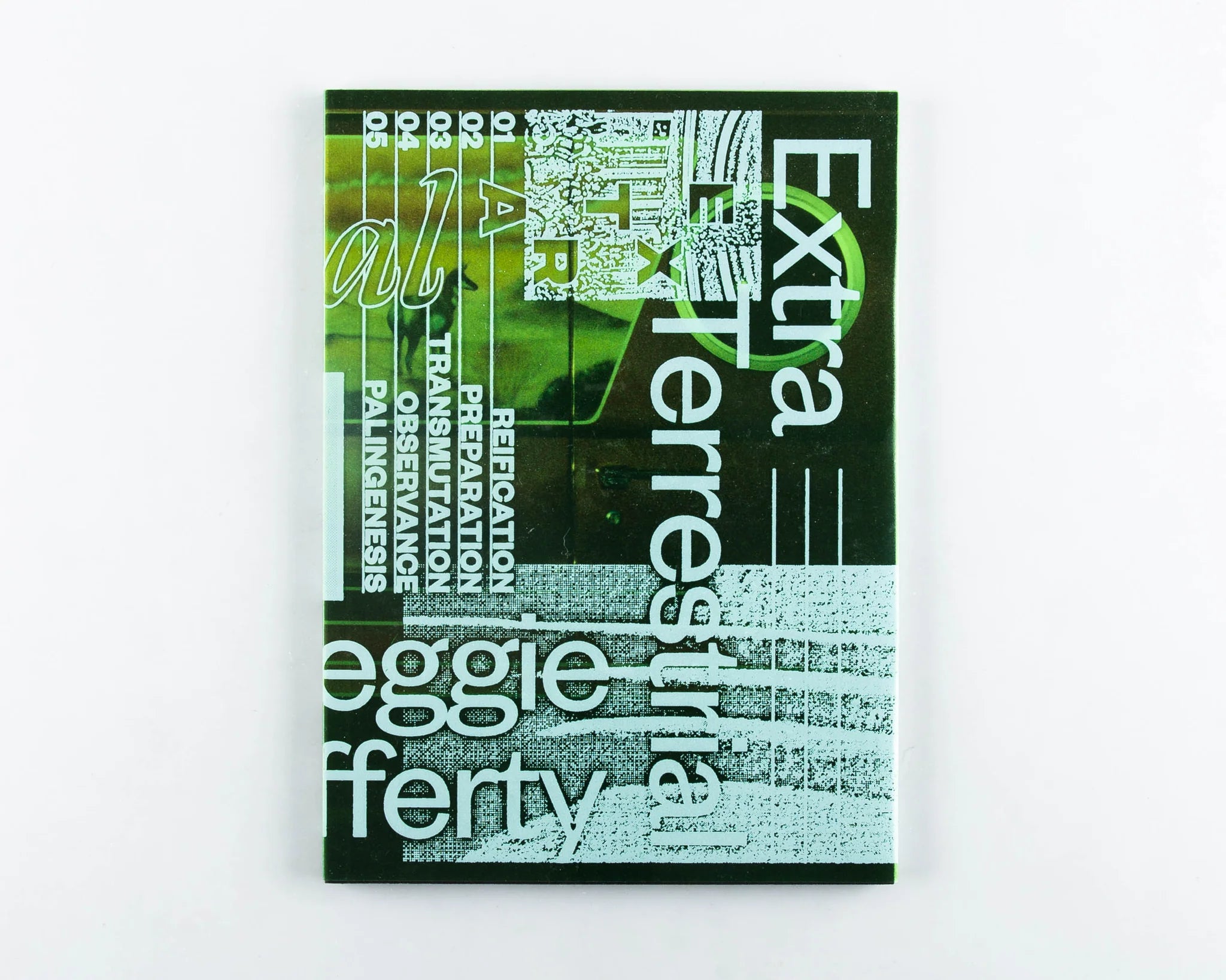 Extra Terrestrial Reggie McCafferty Alien-Themed Novel - Perfect for Sci-Fi Book Clubs & UFO Enthusiasts