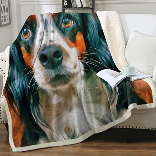 Gentle Dog