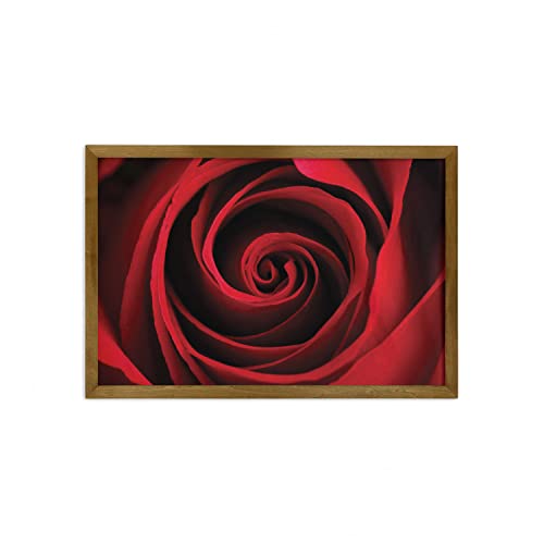 Black Vermilion