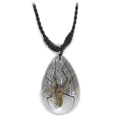 Orb Weaver Teardrop Spider Pendant Necklace - Real Preserved Spider Web in Resin - Unique Gothic Jewelry for Halloween, Steampunk & Nature Lovers