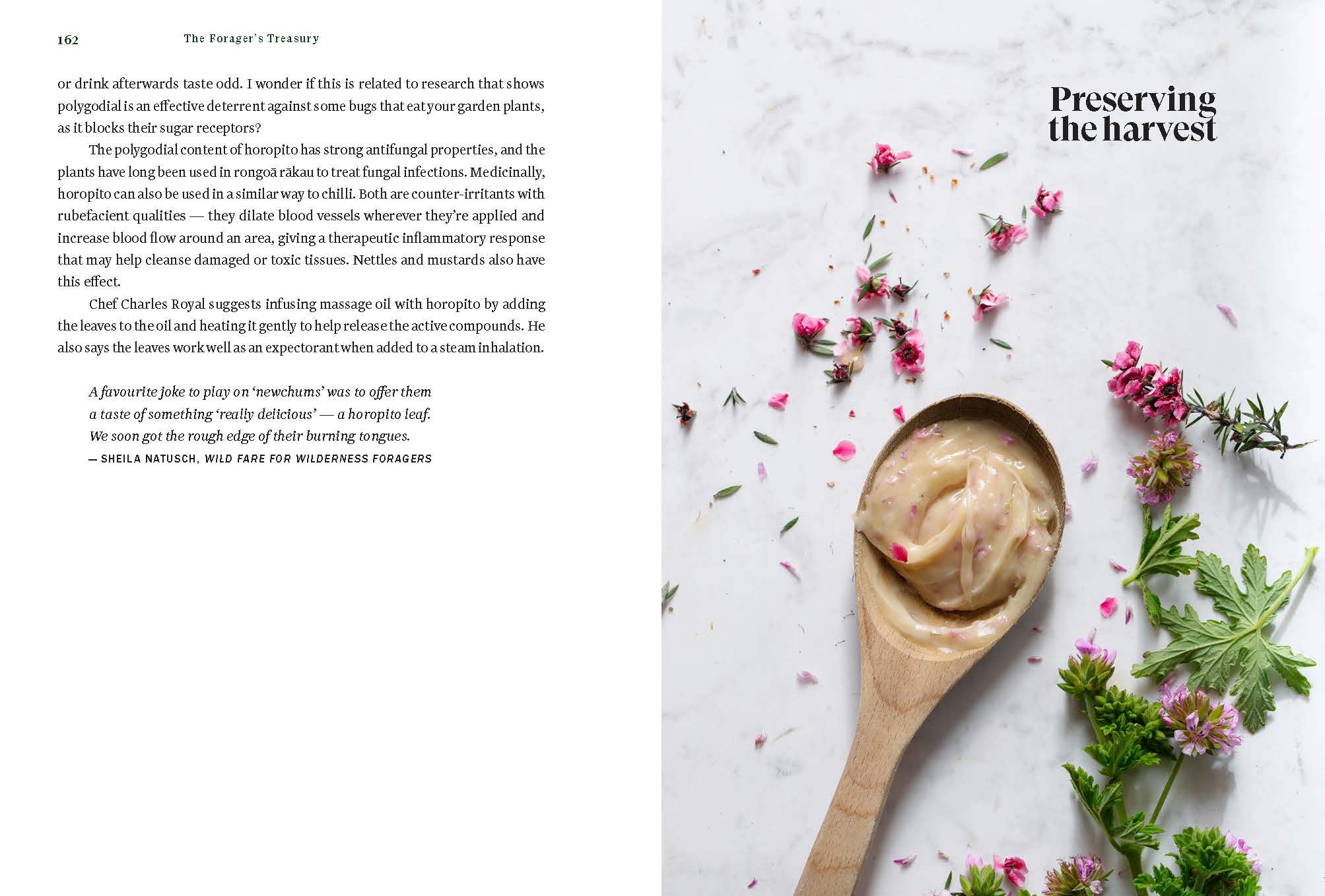 The Forager's Treasury: Essential Guide to Finding & Using Wild Plants in New Zealand - For Hiking, Camping & Sustainable Living