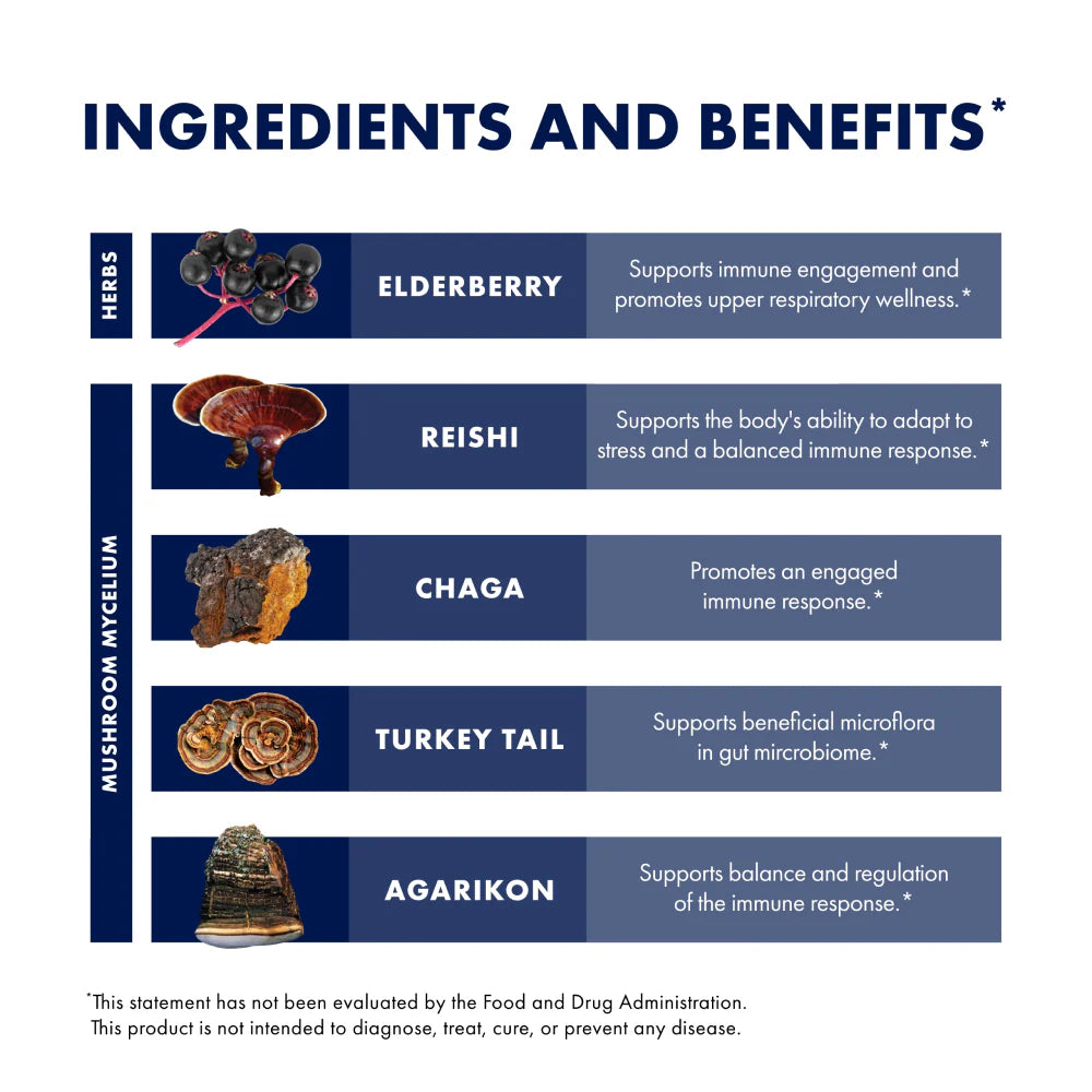 Host Defense Elderberry Plus Syrup - Immune Support Supplement with Vitamin C & Zinc - Natural Cold & Flu Relief for Adults & Kids - Perfect for Daily Wellness & Seasonal Immunity Boost