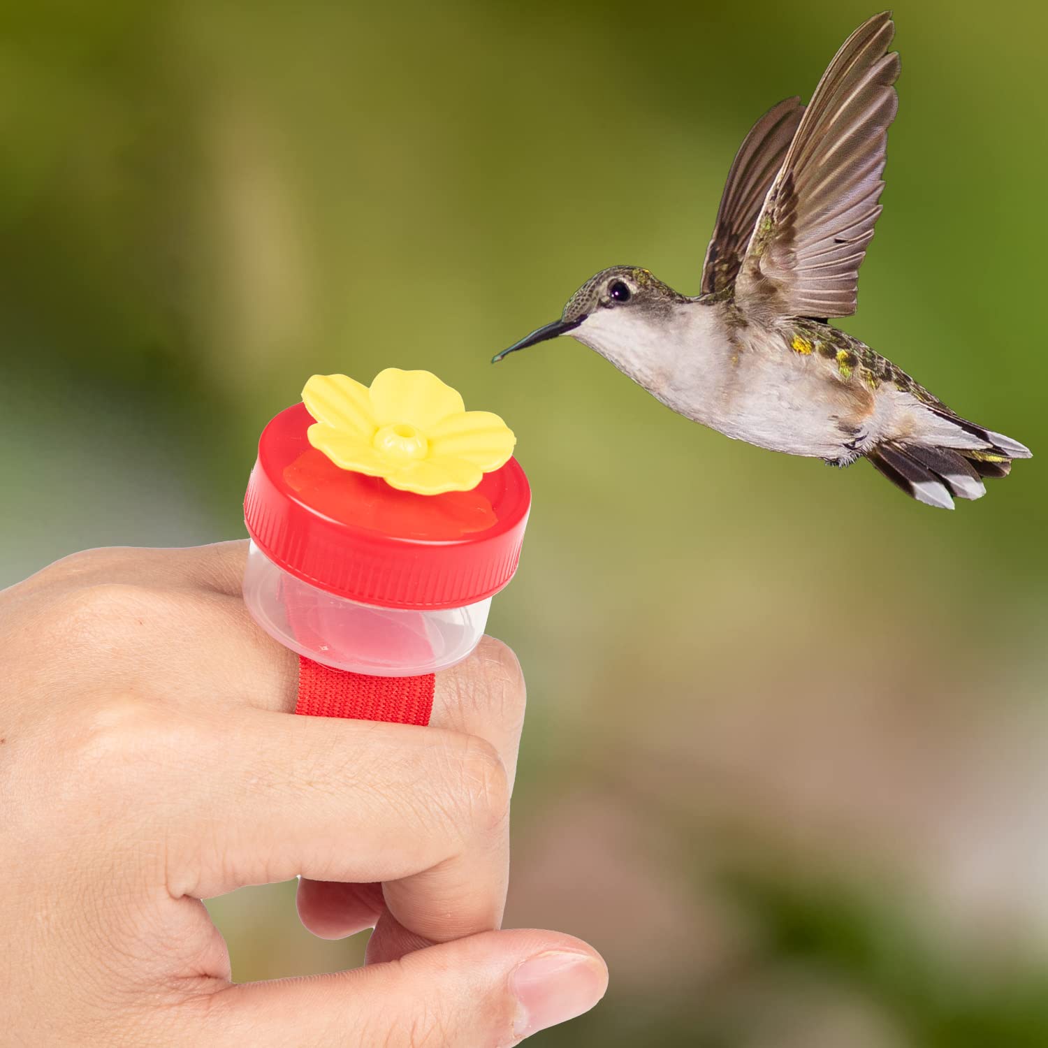 Handheld Hummingbird Feeder Kit - 4Pcs with Cleaning Brushes for Outdoor Bird Watching