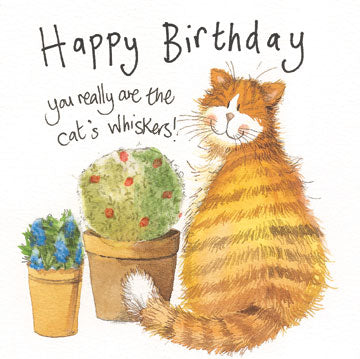 Alex Clark Whiskers Happy Birthday Greeting Card - Perfect for Cat Lovers & Birthday Celebrations