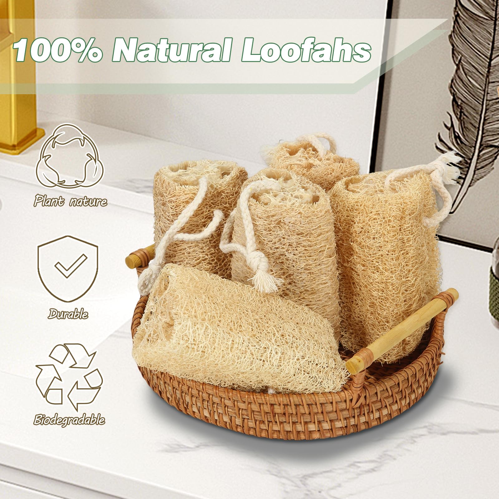 Organic Loofah Sponge Set - 6 Pack Natural Exfoliating Body Scrubber for Men & Women | Eco-Friendly Bath & Shower Skin Care Tool for Back, Face & Body Cleansing | Perfect for Daily Exfoliation & Spa-Like Experience at Home