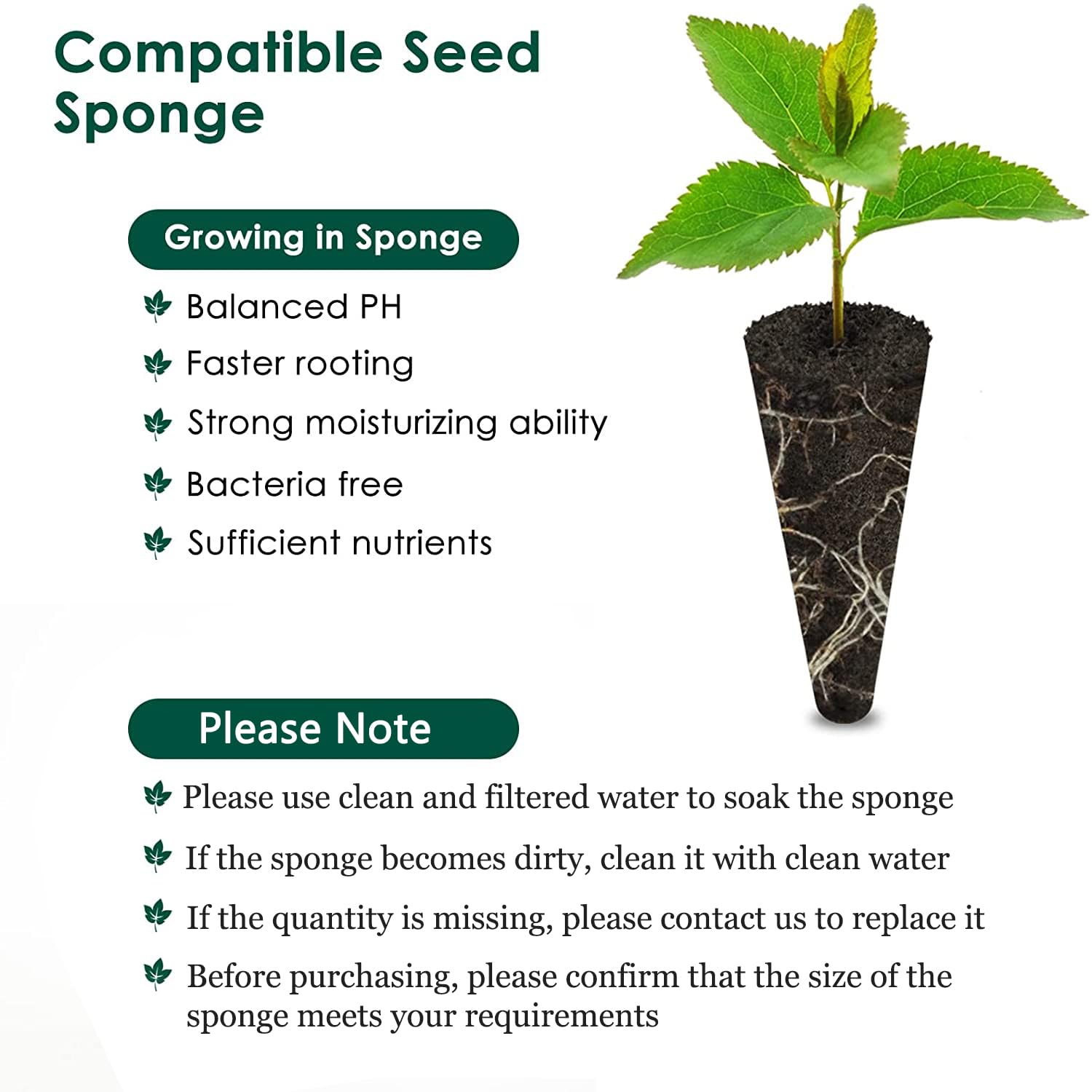 PACETAP 50-Pack Grow Sponges for Aerogarden - Hydroponic Seed Pods & Root Growth Sponges Refill Kit | Indoor Gardening, Seed Starting, Herb & Vegetable Growing | Perfect for Hydroponic Systems, Indoor Gardens & Home Planting