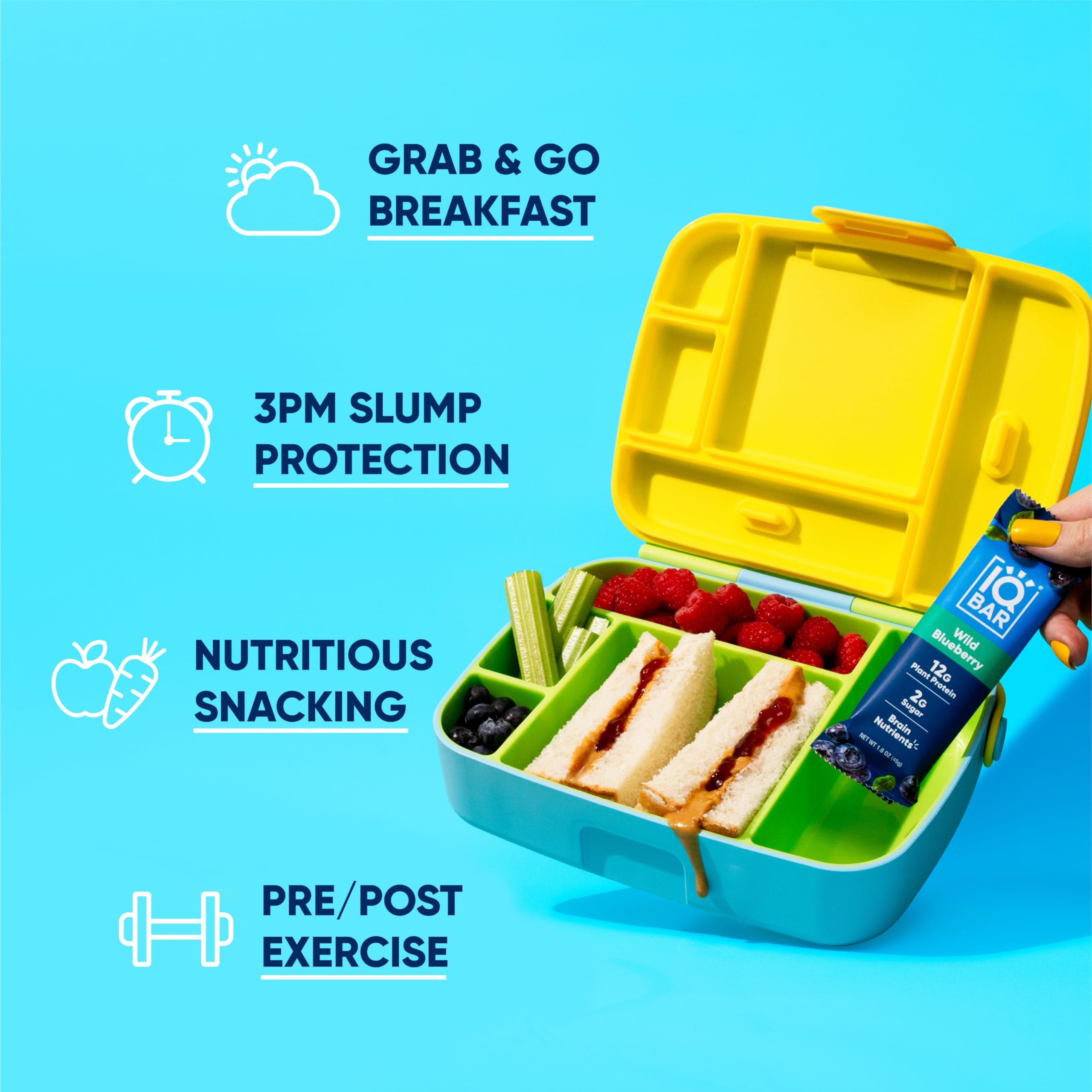 IQBAR Vegan Protein Bars - Low Carb, Gluten Free, High Fiber - Chocolate & Fruit Variety for Workout & Travel Snacks
