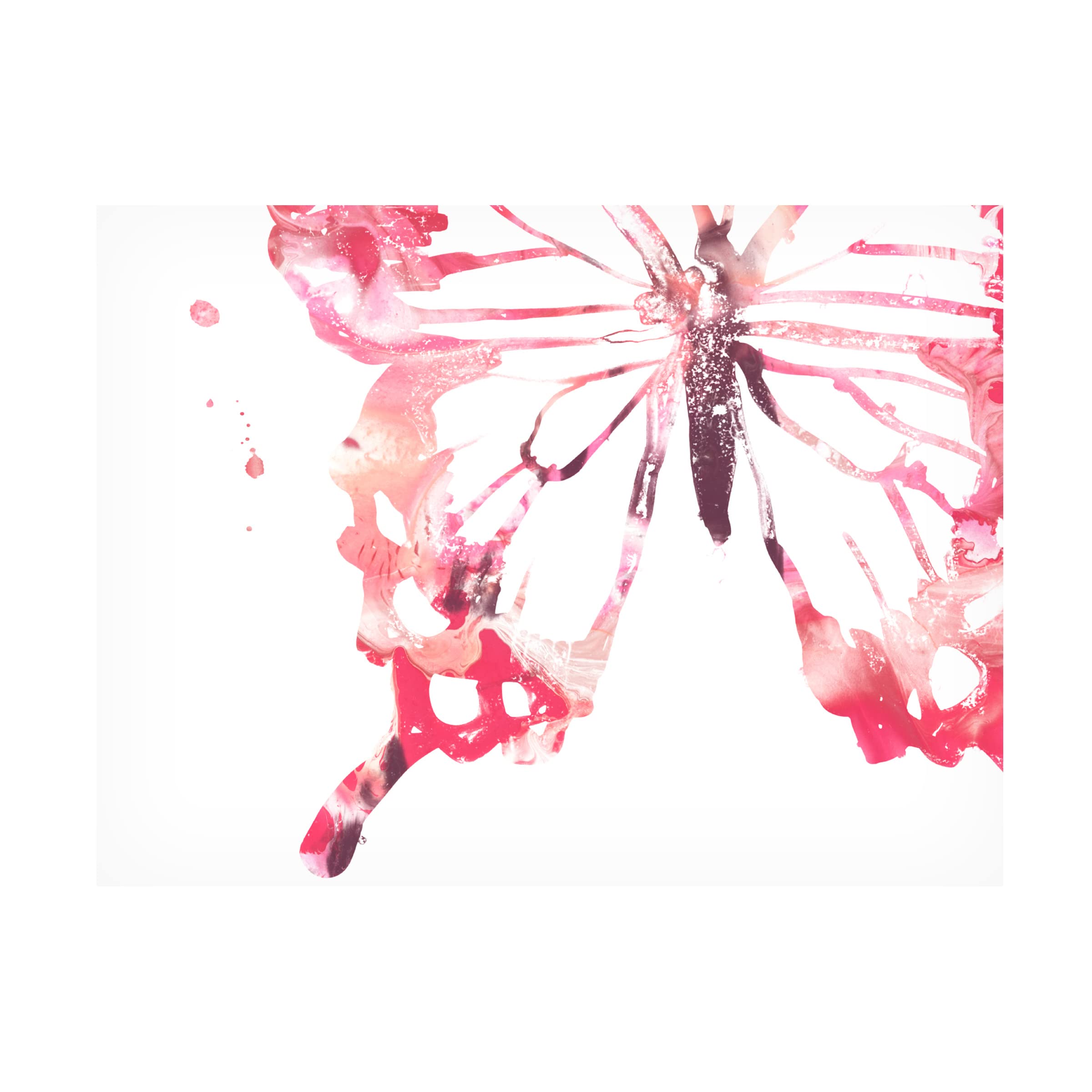 Trademark Fine Art 'Butterfly Imprint IV' Canvas Wall Art by June Erica Vess - Modern Home Decor for Living Room, Bedroom & Office