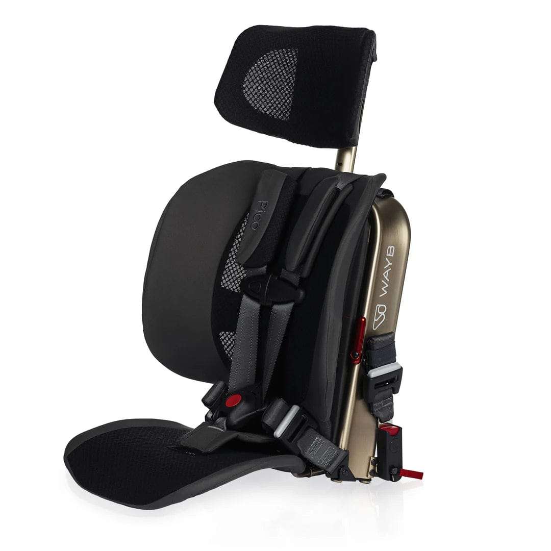 WAYB Pico Lightweight Travel Car Seat for Toddlers - FAA Approved Compact & Portable Booster - Perfect for Airplanes, Road Trips & Everyday Use