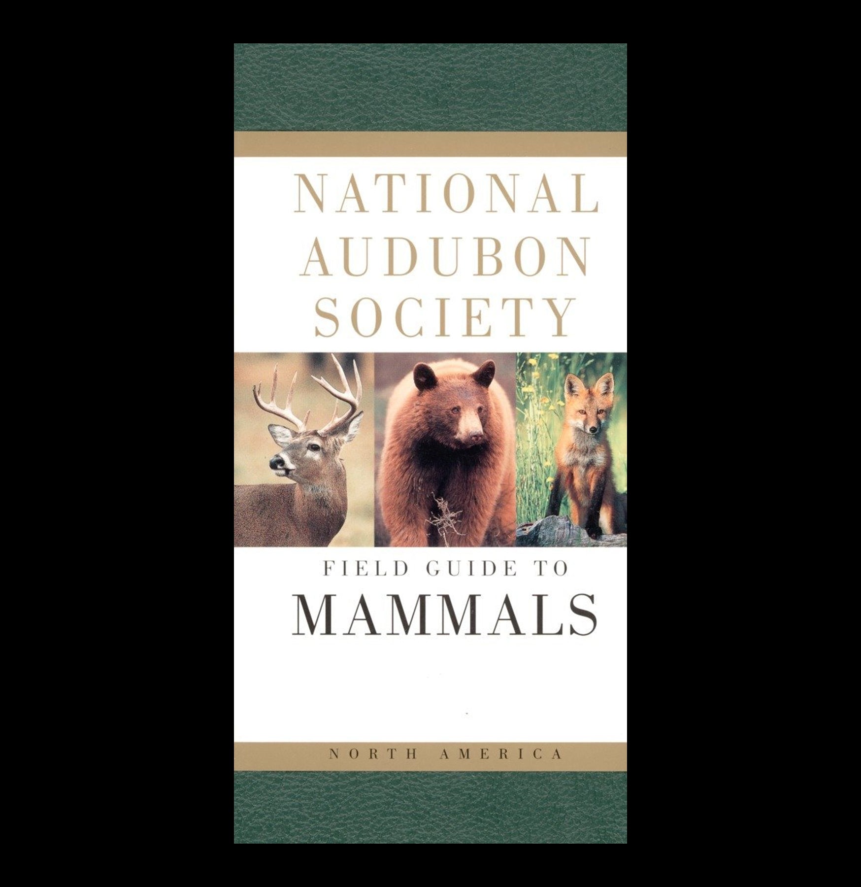 National Audubon Society Field Guide to North American Mammals - Wildlife Identification Book for Nature Enthusiasts & Outdoor Adventures