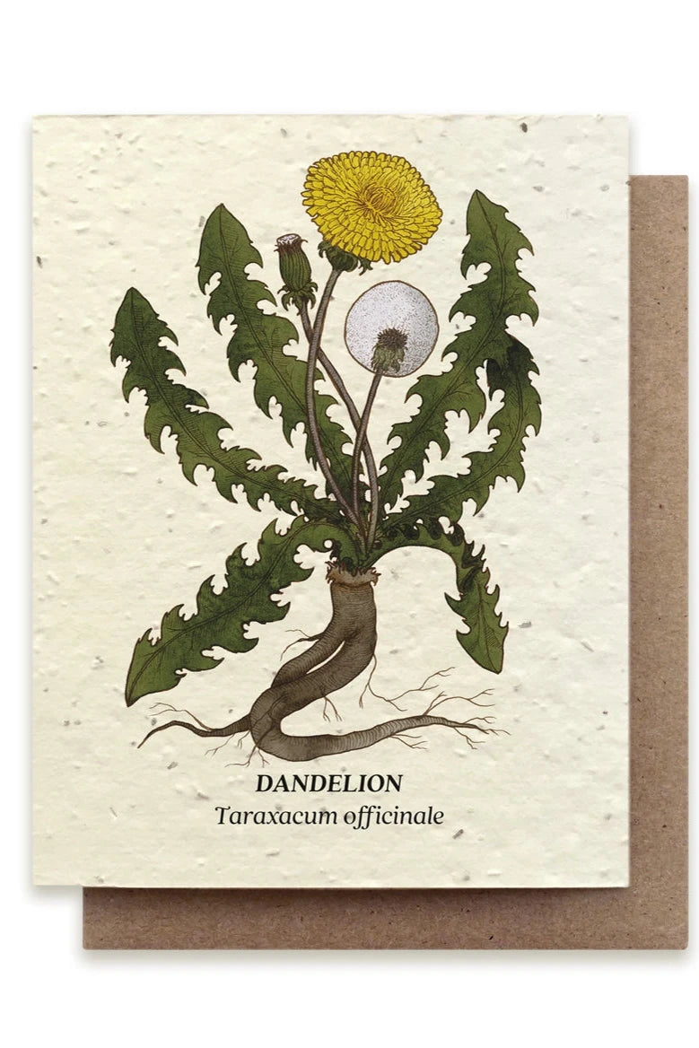Eco-Friendly Dandelion Seed Paper Greeting Cards - Plantable DIY Stationery for Birthdays, Weddings & Earth Day Celebrations