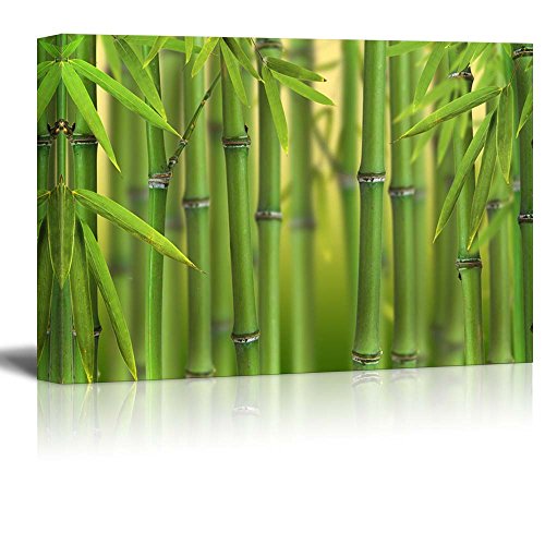 20. Green Bamboo Trees-2