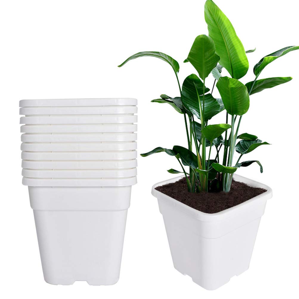 10-Pack 3 Gallon Square Plastic Plant Nursery Pots - Durable Injection Molded Garden Planters for Indoor/Outdoor Plants, Flowers, Seedlings & Vegetables - Perfect for Home Gardening, Greenhouses & Urban Farming (White)