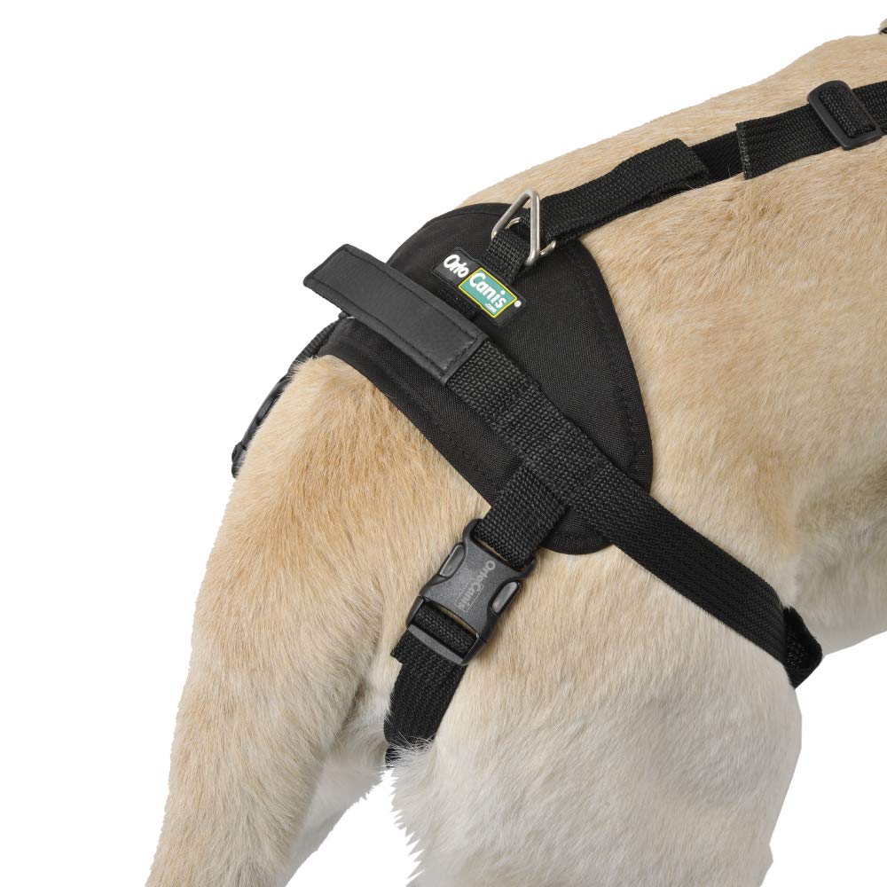 Ortocanis Full-Body Dog Harness for Fore and Hind Leg Support - Adjustable Pet Mobility Aid Vest for Small Dogs (Size S) - Ideal for Senior Dogs, Post-Surgery Recovery & Daily Walking Assistance