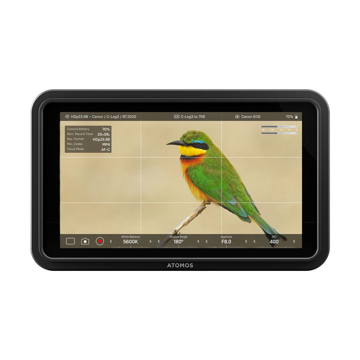 Atomos Shinobi II 5.2