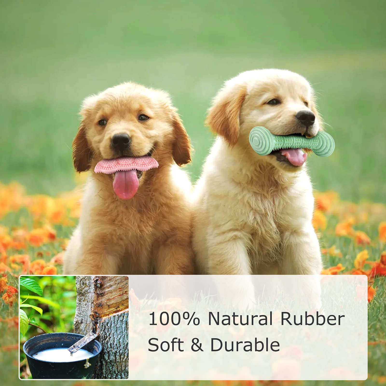 **3-Pack Puppy Teething Toys for Small & Medium Dogs – Soft, Durable Chew Toys for 2-8 Month Old Puppies – Promotes Dental Health & Soothes Teething Pain – Perfect for Cleaning Teeth & Protecting Oral Health – Ideal for Playtime & Training**