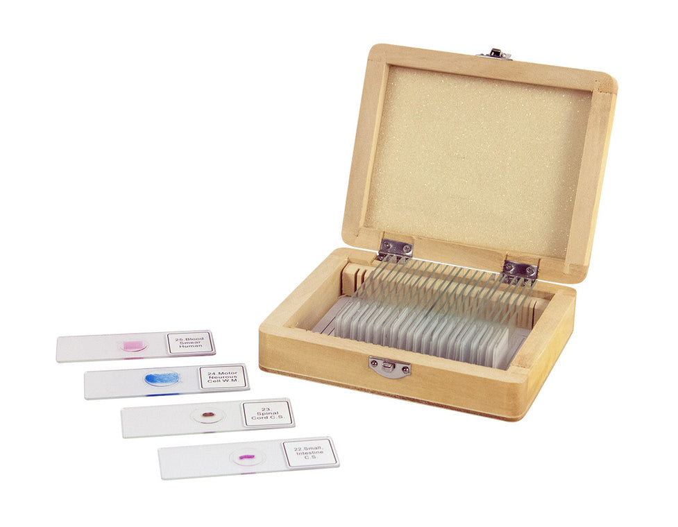 25-Piece Prepared Microscope Slide Kit for Students & Professionals - Biology, Botany & Zoology Specimens for Lab, Classroom & Home Science Education