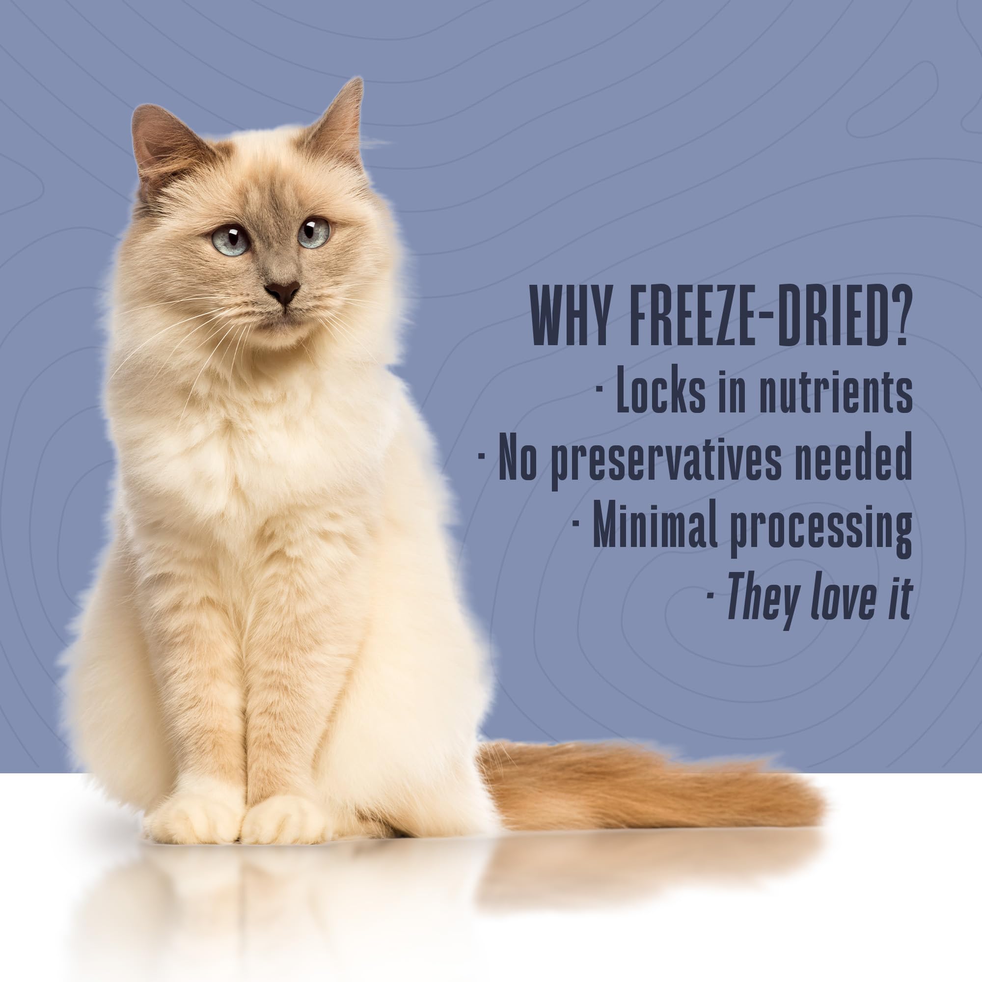 Premium Whole Life Cat Treats with Probiotics - Human-Grade Allergy & Itchy Skin Relief for Cats, Digestive Health Support - Natural Salmon & Yogurt Flavor, 1oz (Pack of 1) - Perfect for Training Rewards & Daily Snacking