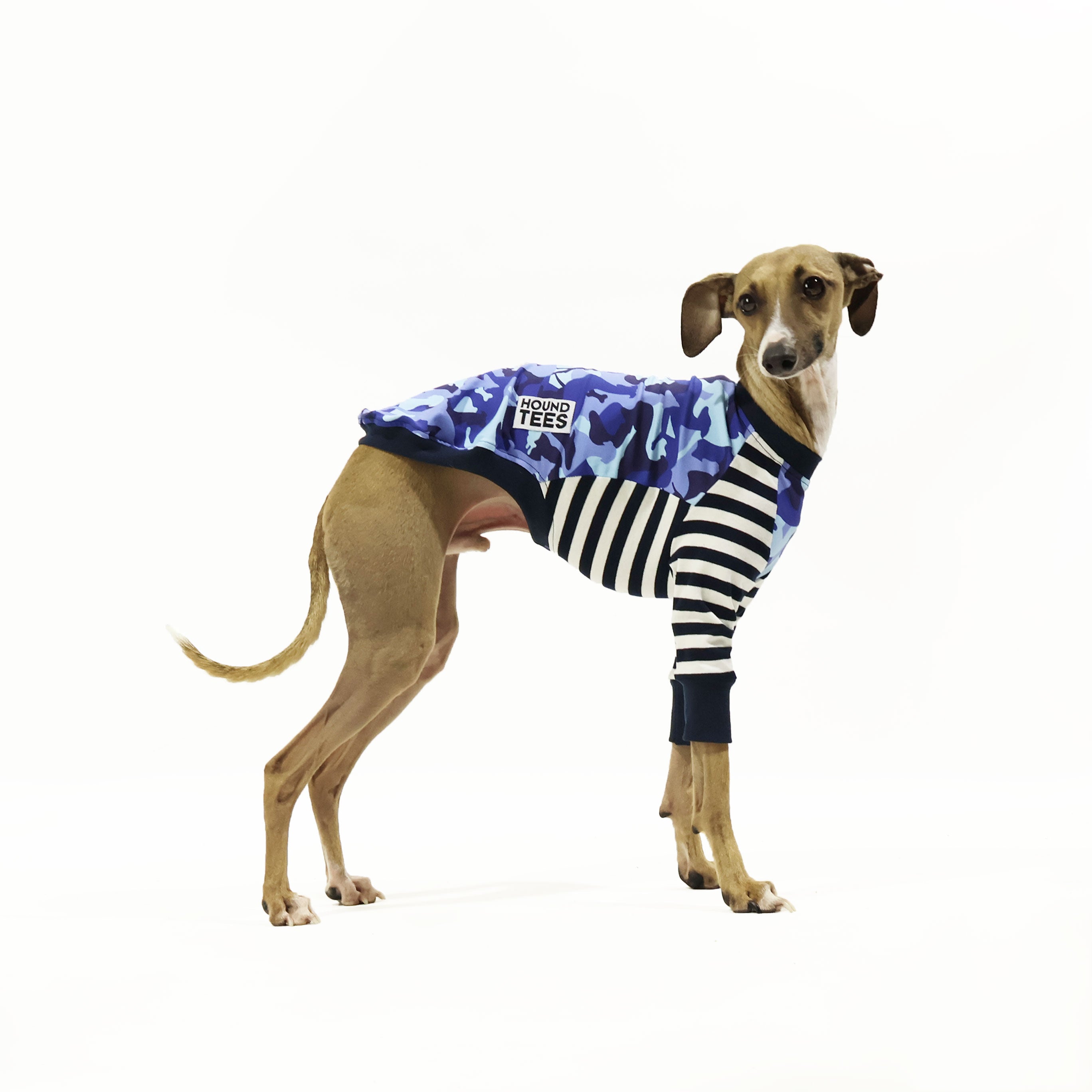 Houndini Blues Iggy Long Sleeve Hound T-Shirt for Men - Comfortable Dog Lover Apparel for Casual Wear & Outdoor Activities