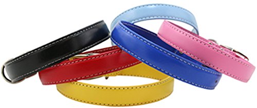 Dover Court Black Dog Collar 1.25