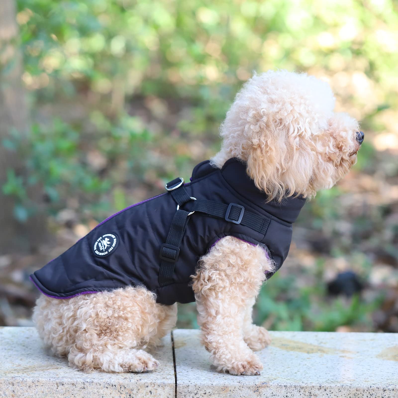 Norbi Dog Winter Coat with Built-in Harness - Adjustable Warm Dog Jacket for Small, Medium & Large Dogs | Cold Weather Protection for Outdoor Walks & Adventures