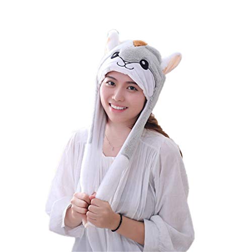 Hamster