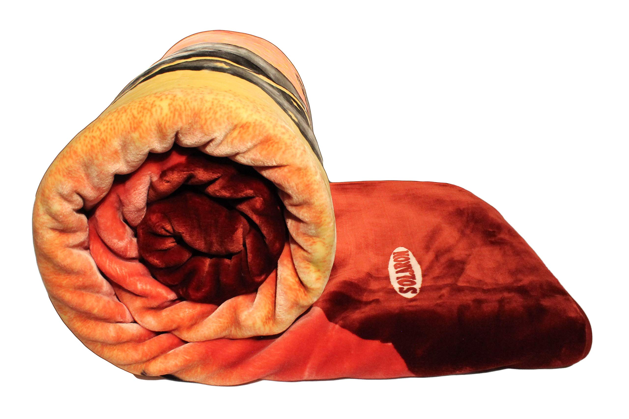 SOLARON Korean Super Thick Heavyweight Mink Blanket - Queen Size Virgin Mary Burgundy Bed Comforter | Ultra Soft Luxury Bedding for Winter Warmth & Home Decor