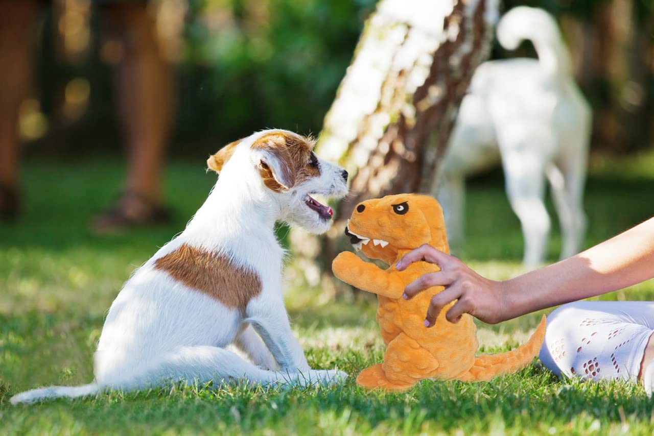 Durable Squeaky Dinosaur Plush Dog Toy with Crinkle Paper - Chew-Resistant Stuffed Animal for Small, Medium & Large Dogs - Perfect for Playtime, Training & Teething Puppies