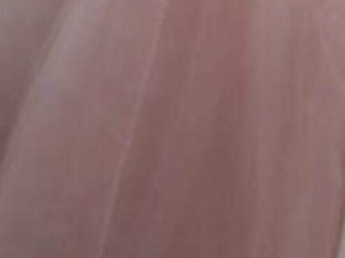 Nude Pink