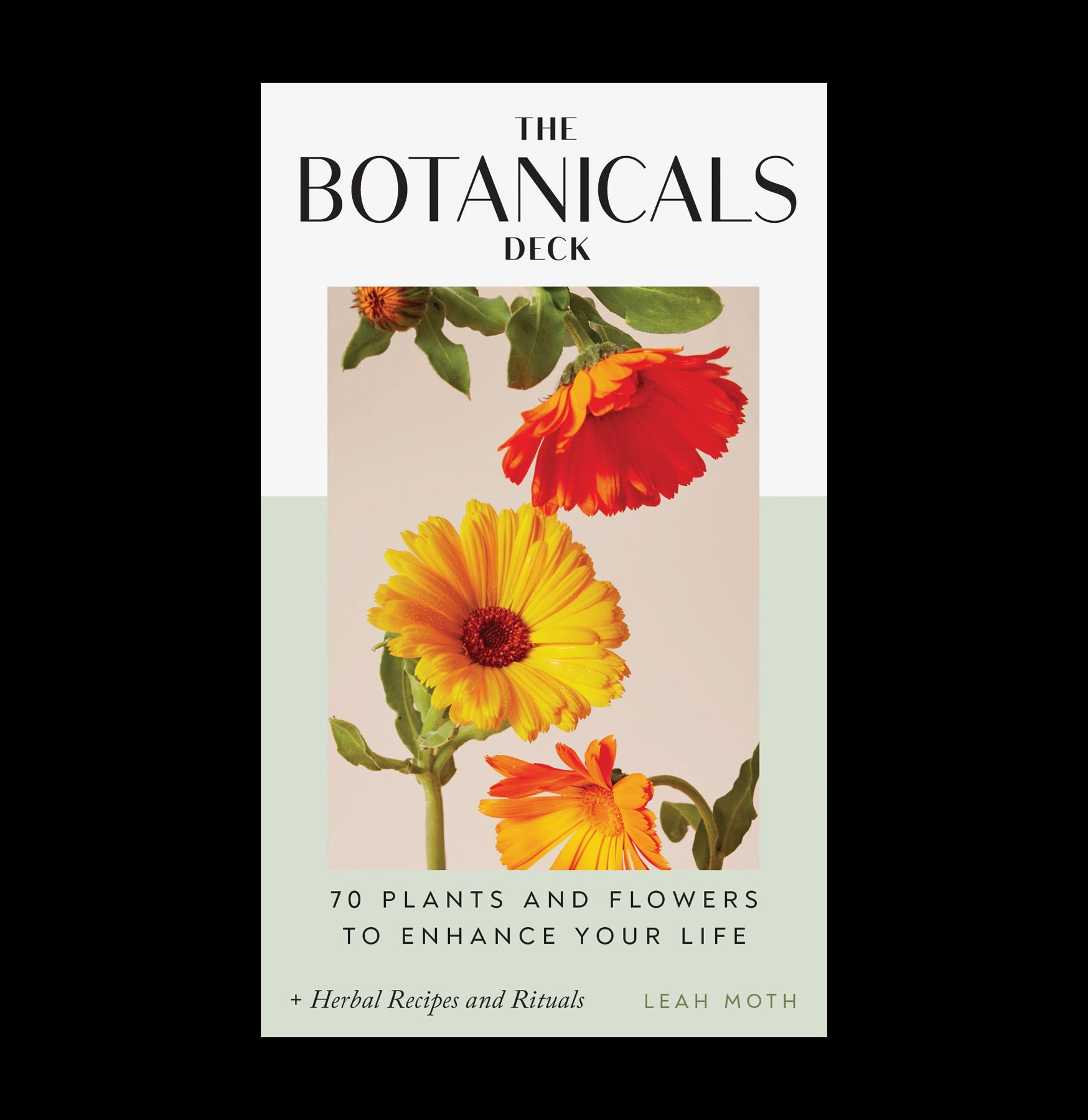 The Botanicals Deck - 50 Inspiring Plant & Flower Cards for Meditation, Journaling & Creative Inspiration | Perfect for Mindfulness, Yoga & Home Decor