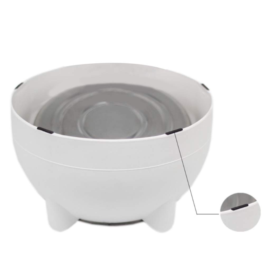 DRYEN 15 Degree Tilted Pet Bowl - Non-Spill Stainless Steel Cat & Dog Food Dish with Non-Slip Base - Ergonomic Neck Support for Easy Eating - Perfect for Kittens, Puppies & Adult Pets at Home or Travel