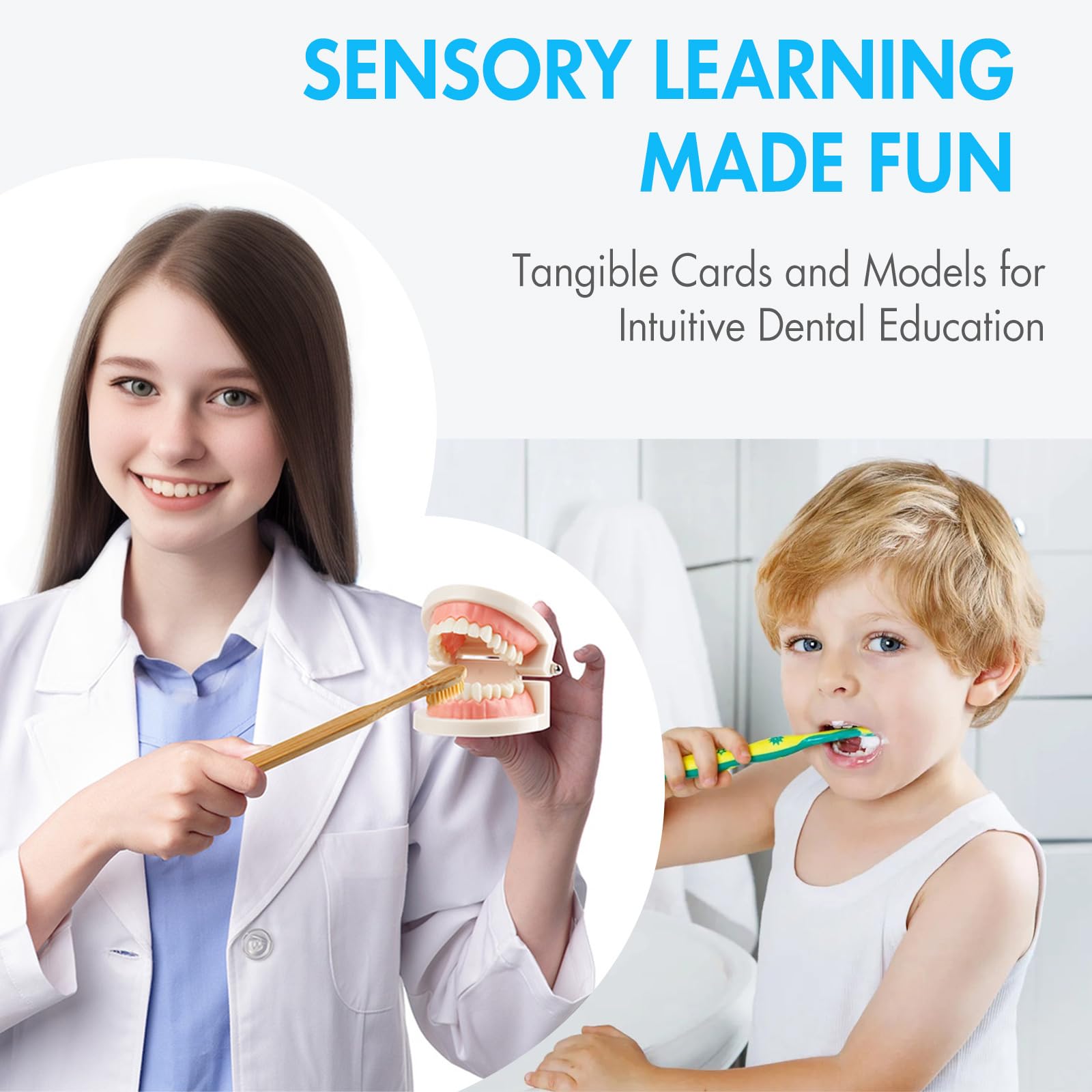 Montessori Practical Life Brushing Teeth Model & Cards - Wooden Dental Hygiene Learning Toy for Toddlers & Preschoolers - Homeschool & Classroom Educational Activity for Kids - Perfect for Teaching Oral Care Habits