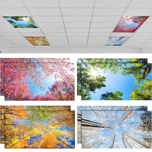 Seasons Forest