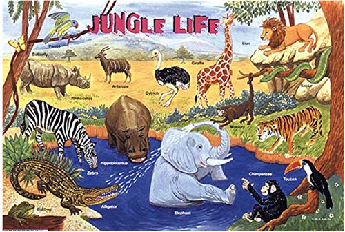 Farm, Ocean & Jungle Animal Placemats - Set of 3 Reusable Wipe-Off Mats for Kids | Fun Dining & Learning Activity for Toddlers & Preschoolers