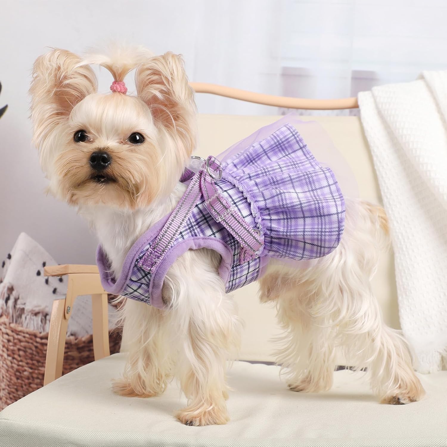 Plaid Dog Harness Dress with Leash Set - Cute Summer Pet Clothes for Small Dogs & Puppies | Chihuahua Harness Outfit (Purple, XX-Small) | Perfect for Daily Walks, Pet Parties & Photo Shoots