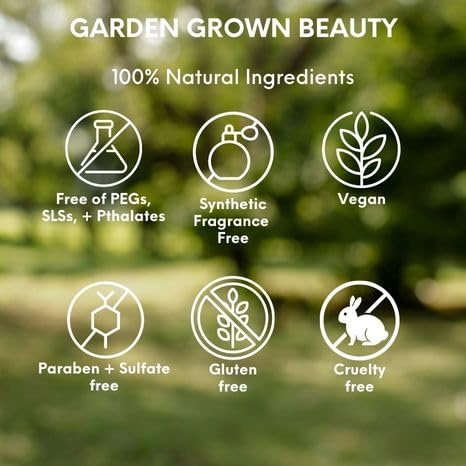 Ancient Vine Vitality Vitamin C Face Oil Serum - Natural Anti-Aging Skincare with Mediterranean Diet Inspired Ingredients for Deep Hydration | 1oz | Perfect for Dry Skin & Nighttime Skincare Routine