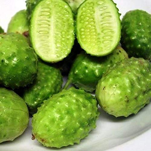 West Indian Gherkin Seeds (10 Count) - Small Tasty Cucumber Variety for Pickling & Salads - Perfect for Home Gardens, Containers & Fresh Eating