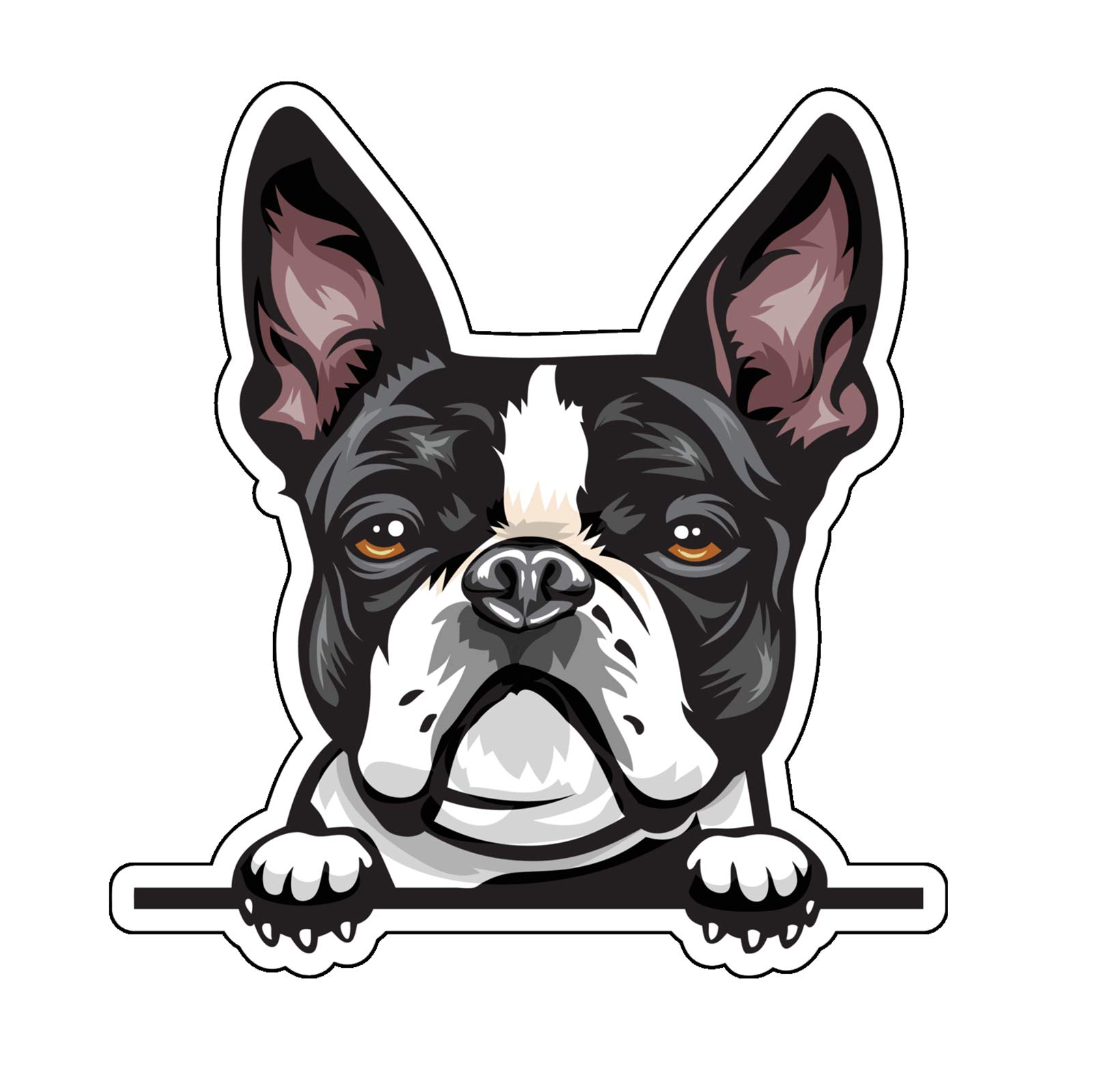 WickedGoodz Boston Terrier Decal - Premium Vinyl Dog Breed Bumper Sticker for Cars, Trucks, Laptops, Tumblers & Walls - Waterproof & UV Resistant - Perfect for Pet Lovers & Home Decor