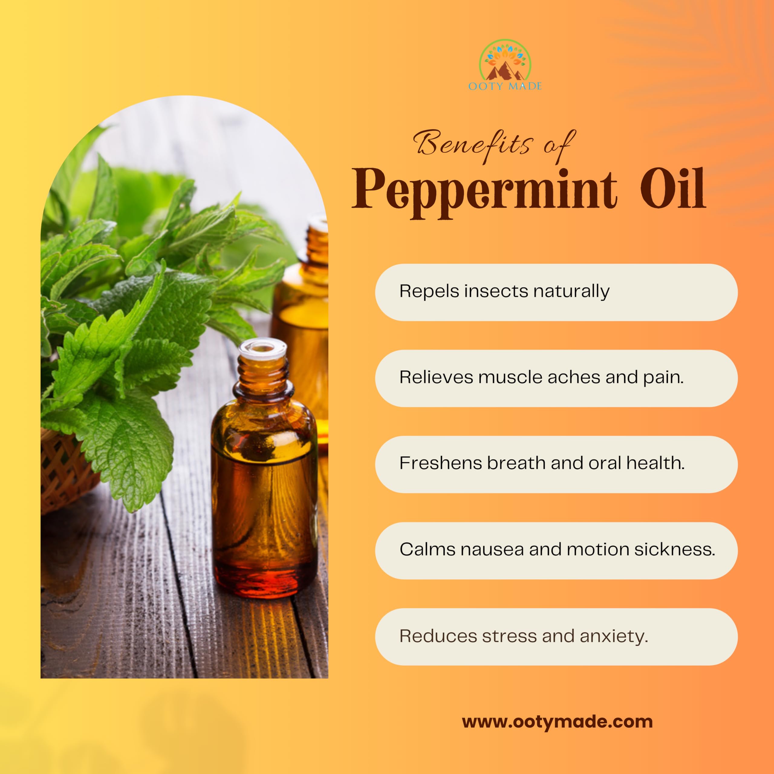 OotyMade.com Pure Nilgiris Peppermint Essential Oil – 10ml | Organic Hair Growth & Hair Fall Control | Skin Care & Aromatherapy | Natural Stress Relief | Perfect for Diffusers, Massage & DIY Beauty Products