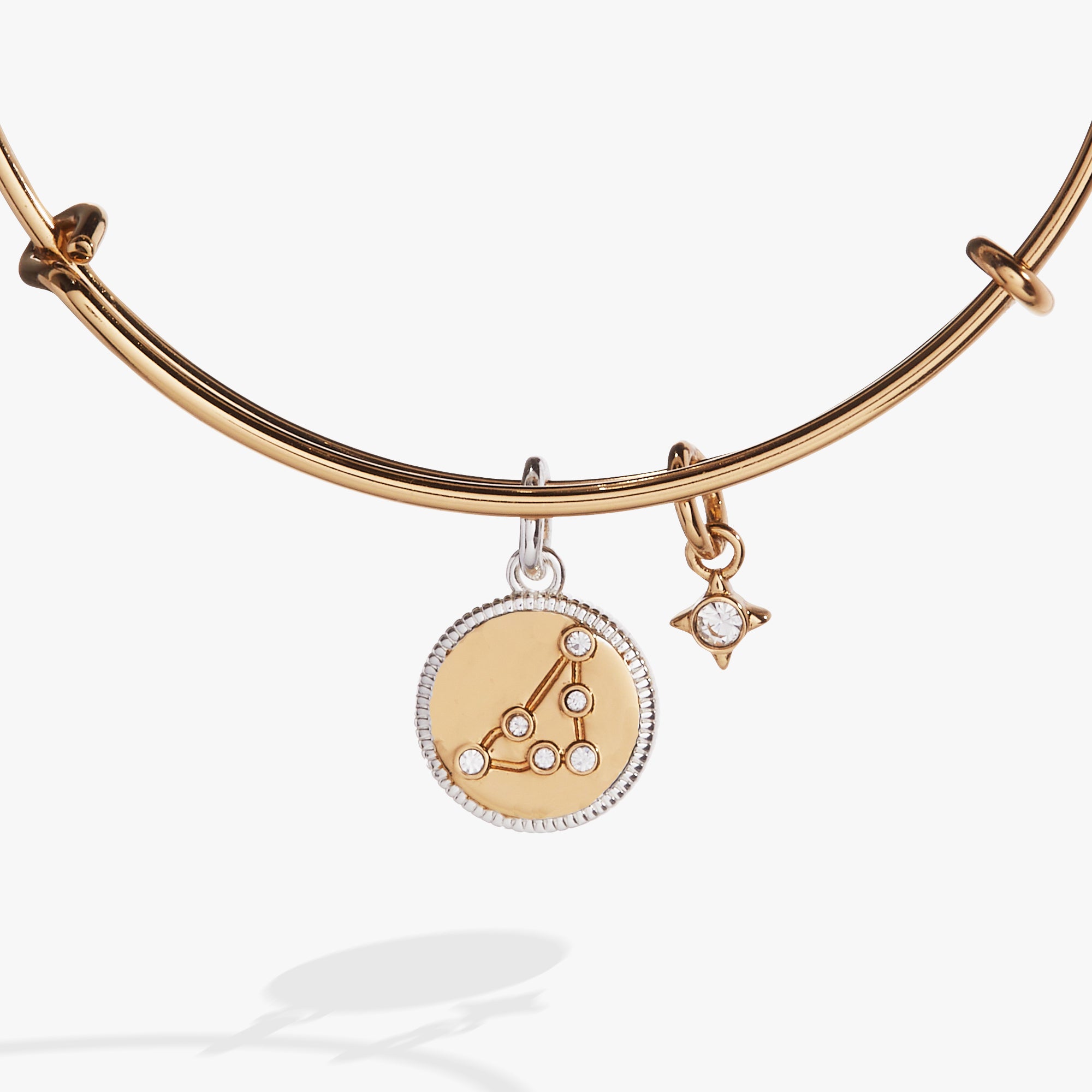 Capricorn Zodiac Charm Bangle - Sterling Silver Zodiac Bracelet for Women - Perfect for Birthday Gifts & Astrology Jewelry Collection