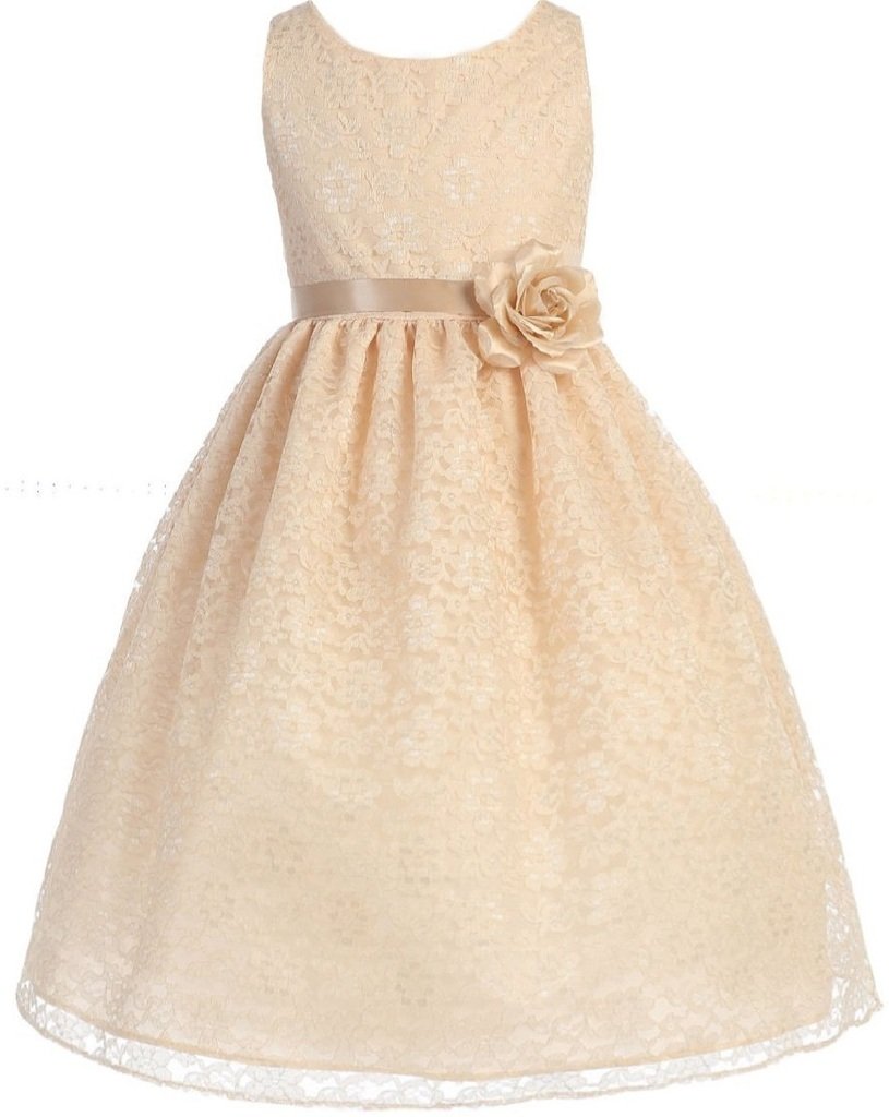 **Adorable Lace Overlay Floral Girls Dresses for Spring & Summer – Perfect for Parties, Photos & Special Occasions**